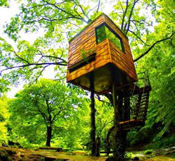 Baumhaus von Takashi Kobayashi, Japan