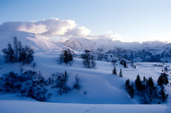 Курорт Альп дЮзз 