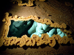 La Cueva Lechugilla, Estados Unidos