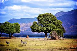 Национальный парк Мана-Пулс, Зимбабве