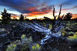 Craters of the Moon National Monument and Preserve, USA