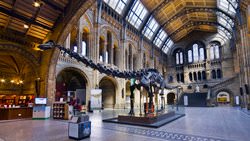Natural History Museum, England