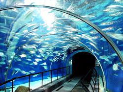 Shanghai Ocean Aquarium, China