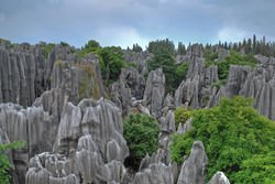 Каменный лес Шилинь, Китай