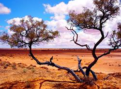 Пустыня Симпсона , Simpson Desert, Австралия