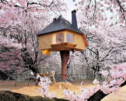Чайный дом Tetsu, Япония