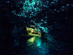 Waitomo Caves, Yeni Zelanda