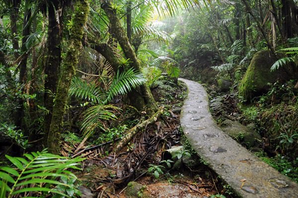 Гора Эль Юнке, Куба