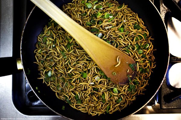 Гэбул - морские черви, рестораны Бусана, Корея