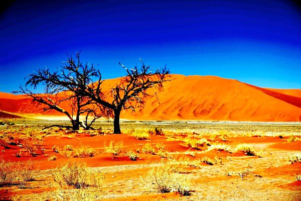 Naukluft Parkı, Namibya