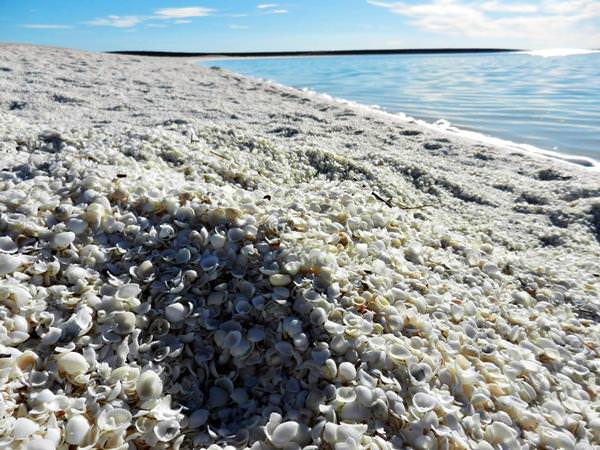 Playa de Conchas, Australia