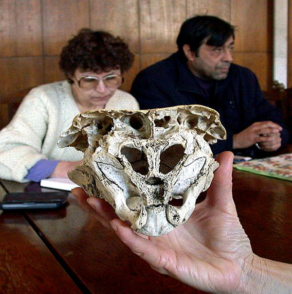 Skull Rhodope, Bulgaria
