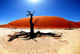 2 out of 12 - Dead Vlei, Namibia