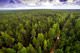 10 von 15 - Urwälder von Komi, Russland