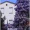 Hotel Tritone