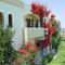 Malia Studios Hotel
