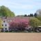 Hotel Waldesruh