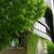 Youth Hostel Beaufort