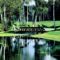 Moscow Country Club