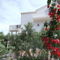 Apartments Antonio