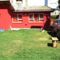 The House Hostel