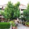 Sofia Rooms