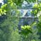 The Hafod Hotel