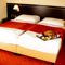 Hotel Tatra