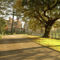 Pontlands Park Hotel