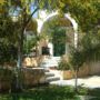Country Studios