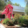 Residence Alba