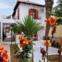 Saronis Hotel