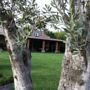 Agriturismo Il Giglio