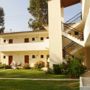 Palatino Studios