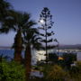 Apartments Delfini