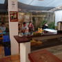 Explora Hostels
