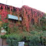 Albergo Ristorante San Giuseppe