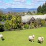 A Panoramic Country Homestay