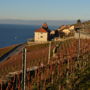 Domaine du Burignon