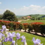 Fattoria Voltrona