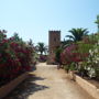 Son Marimon Adults Only