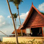 Kupu Kupu Koh Phangan