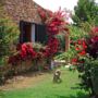 Residence Baia Salinedda