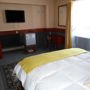 Hotel Millahue