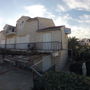 Pansion Palute