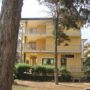 Pino Hotel