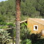 Holiday Home Can Ripolls Tipo 4 pers San Juan De Labritja