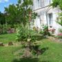 Bluebell Guest House