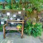 Holiday Home Limoneto a Priora Sorrento