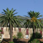 Apartment Les 4 saisons Corses près de la mer Brando